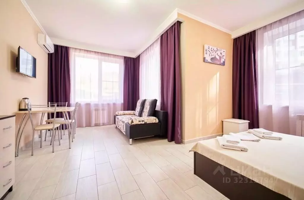 1-к кв. Краснодарский край, Сочи ул. Ленина, 290/2 (34.0 м) - Фото 1