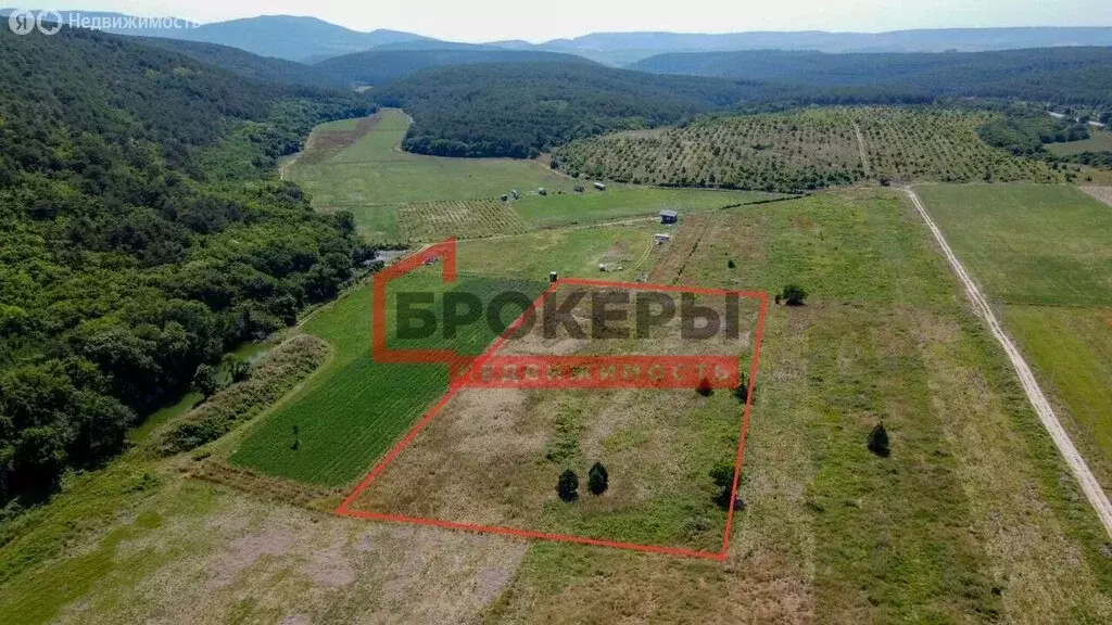 Участок в Терновский муниципальный округ, село Терновка, Садовая улица ... - Фото 2