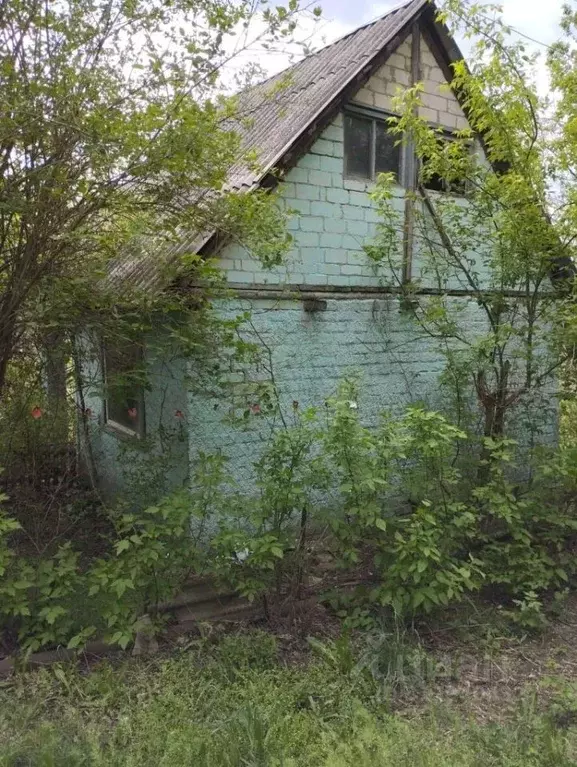 Дом в Белгородская область, Белгородский район, Никольское с/пос, с. ... - Фото 0