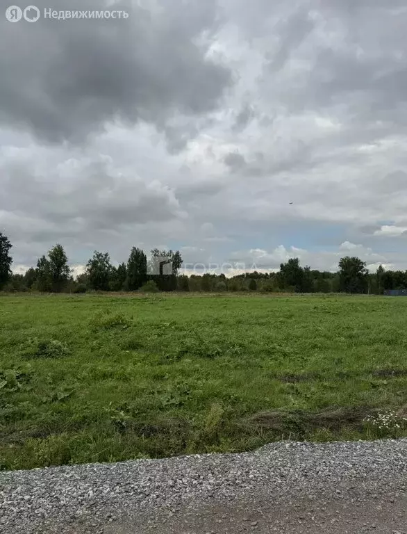 Участок в Мошковский район, посёлок Октябрьский (13.8 м) - Фото 1