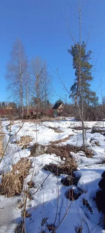 Участок, 8 сот., сельхоз (снт или днп) - Фото 1