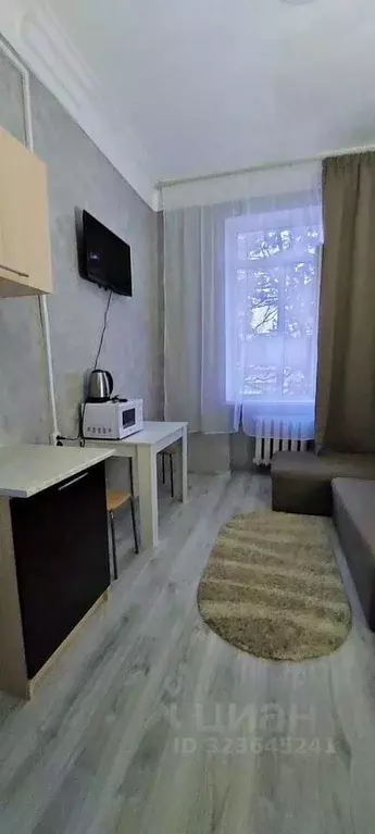 Студия Краснодарский край, Сочи ул. Гагарина, 33 (12.0 м) - Фото 2