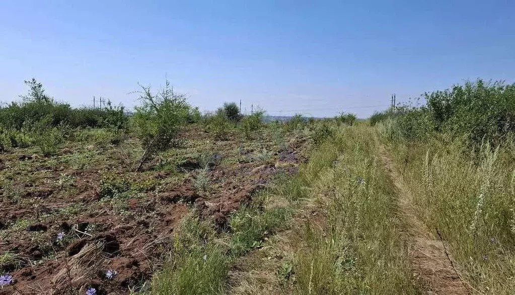 Участок в Оренбургская область, Оренбургский район, Ленинский ... - Фото 1