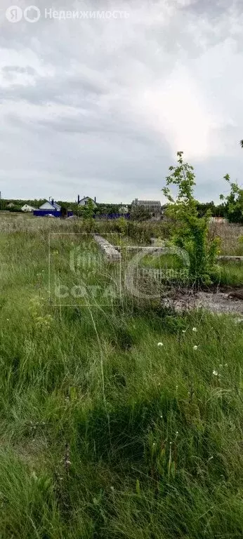 Участок в посёлок совхоза  Воронежский , Спортивная улица, 48Б (15 м) - Фото 0