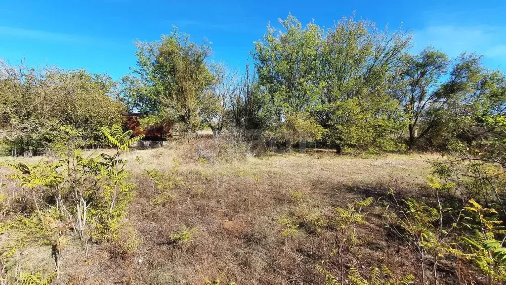 Участок в Крым, Сакский район, Митяевское с/пос, Эскулап СНТ  (5.0 ... - Фото 2