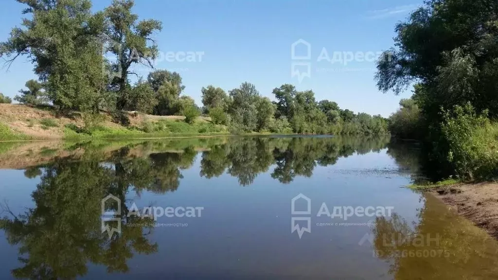 Участок в Волгоградская область, Среднеахтубинский район, ... - Фото 2