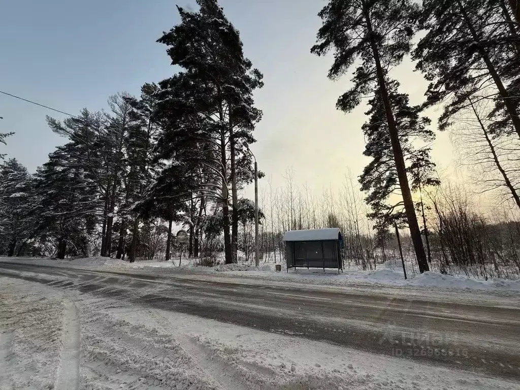 2-к кв. Тверская область, Калининский муниципальный округ, д. Рябеево ... - Фото 2