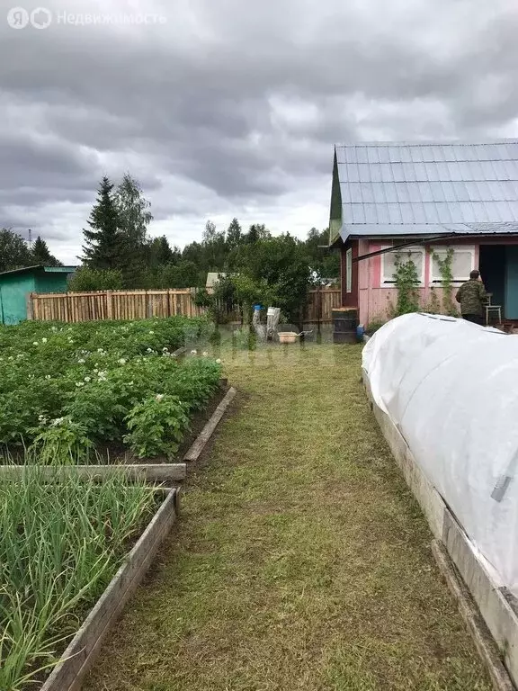 Дом в Вологодская область, Сокольский муниципальный округ, ... - Фото 0