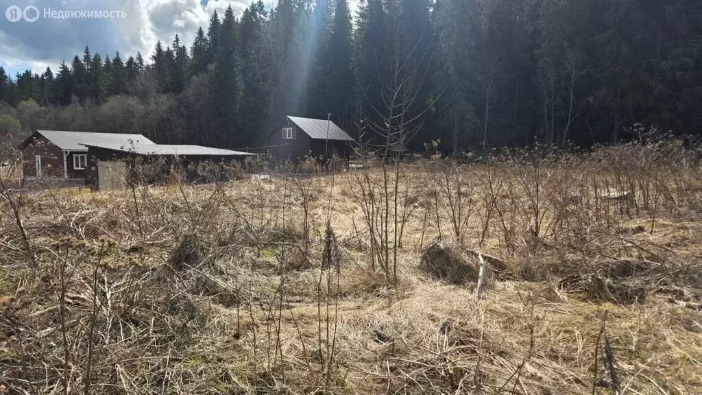 Участок в Республика Карелия, Сортавала (15 м) - Фото 2