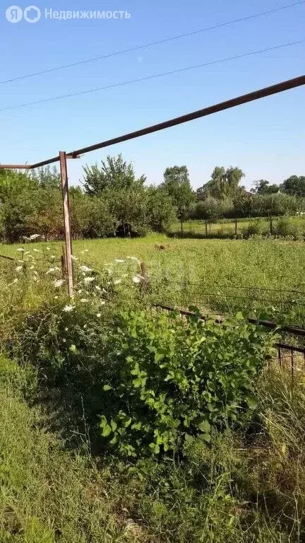 Участок в Елизаветинское сельское поселение, хутор Колузаево, улица ... - Фото 0