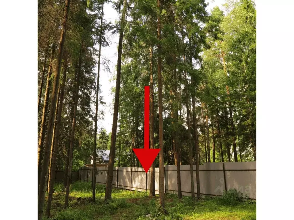 Участок в Московская область, Ступино городской округ, с. Ивановское  ... - Фото 0