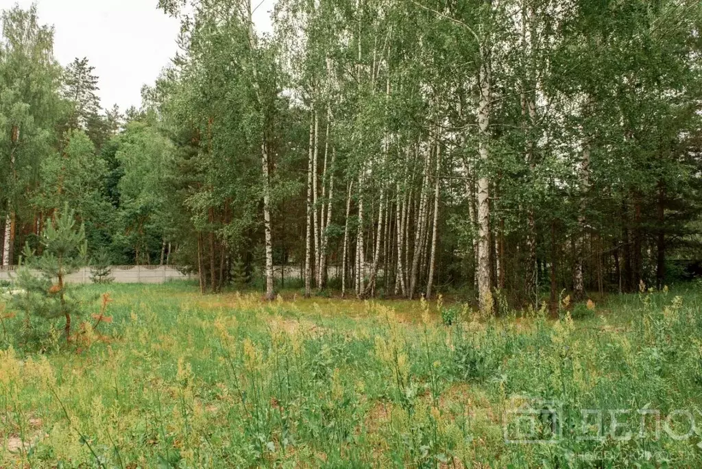 Участок в Рязанская область, Спасский район, Панинское с/пос, д. ... - Фото 1