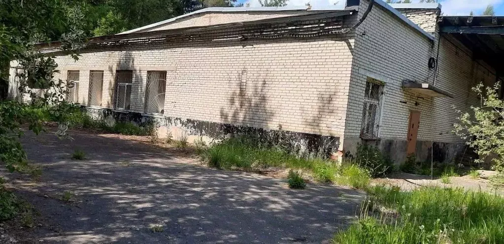 Производственное помещение в Ленинградская область, Луга Ленинградское ... - Фото 1