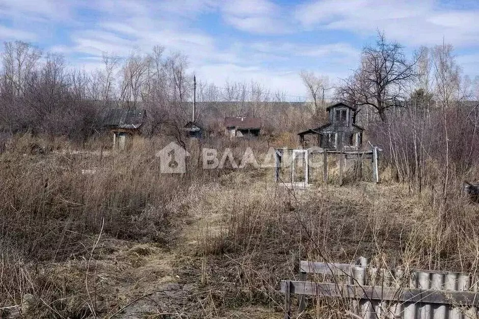 Участок в Воронежская область, Воронеж Сосна СНТ, ул. 10-я, 497 (6.0 ... - Фото 0
