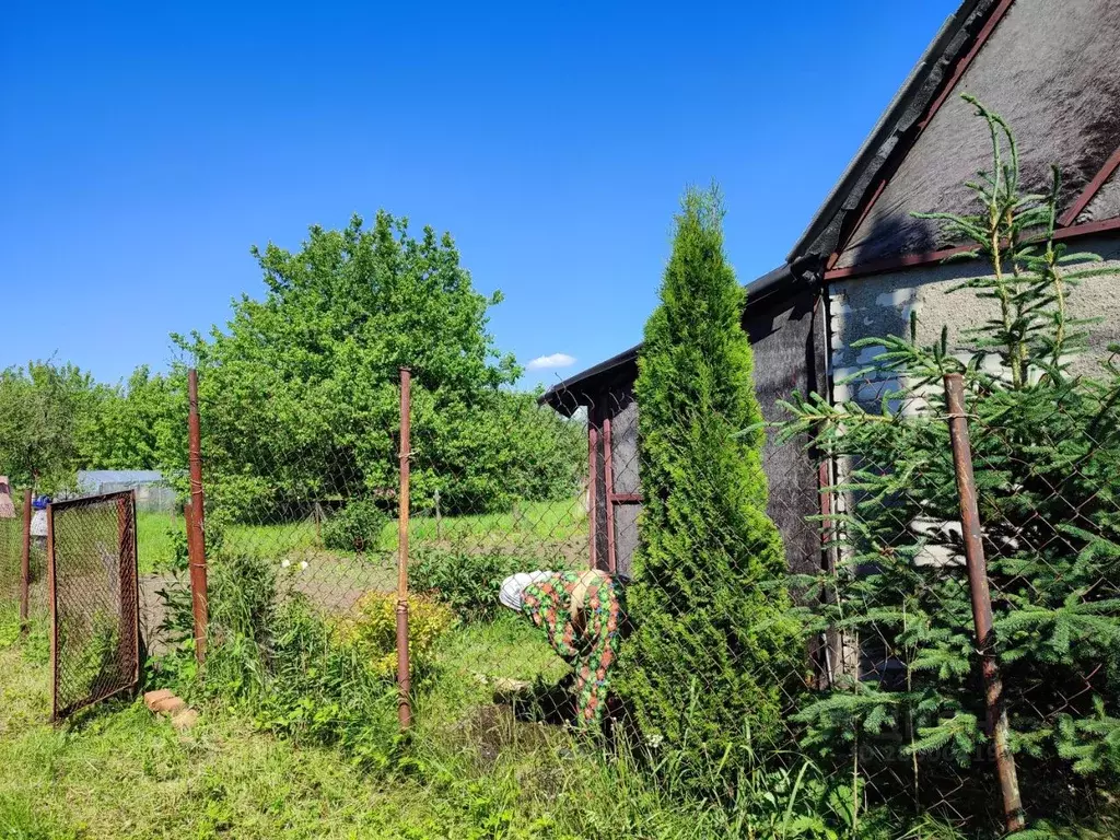 Дом в Калининградская область, Светловский городской округ, пос. ... - Фото 0