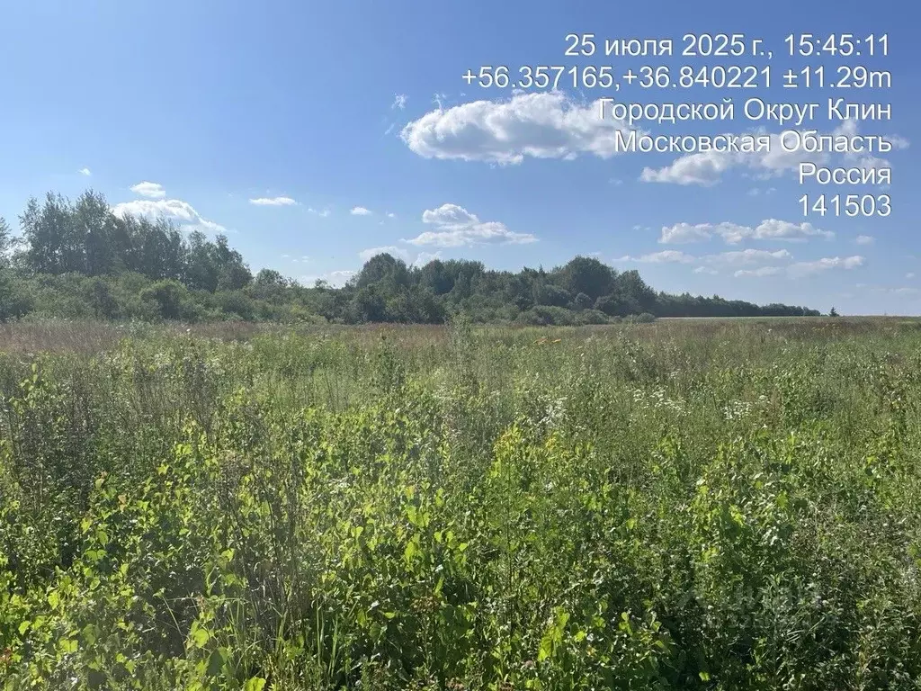 Участок в Московская область, Клин городской округ, д. Напругово  ... - Фото 1