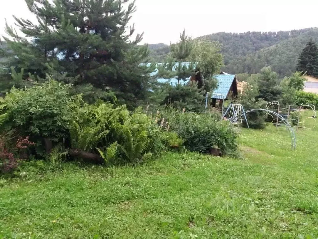 Дом в Алтай, Майминский район, с. Соузга Набережная ул., 58 (110 м) - Фото 1