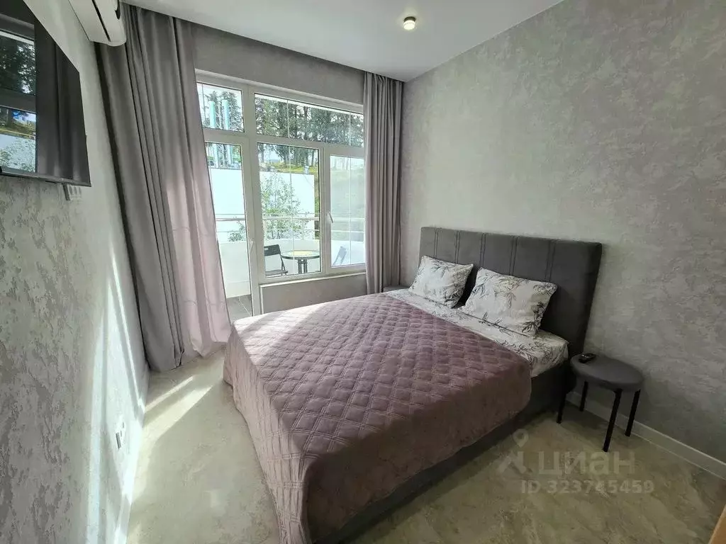 Студия Краснодарский край, Сочи ул. Ленина, 290/7к6 (20.0 м) - Фото 1