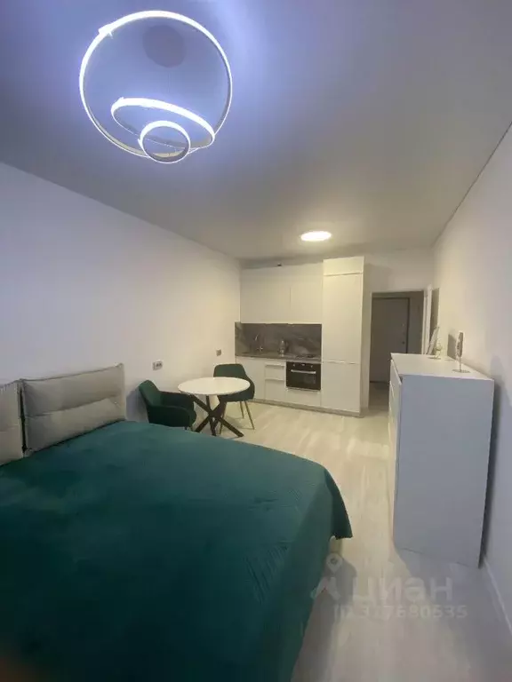 Студия Санкт-Петербург Дальневосточный просп., 19к1 (27.0 м) - Фото 2