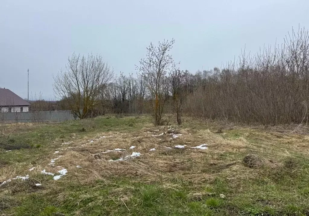 Участок в Московская область, Кашира городской округ, д. Тарасково  ... - Фото 2