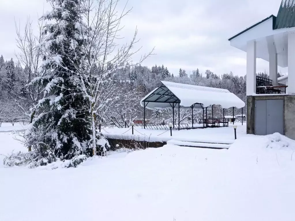 Дом в Московская область, Рузский муниципальный округ, д. Марково 61 ... - Фото 1