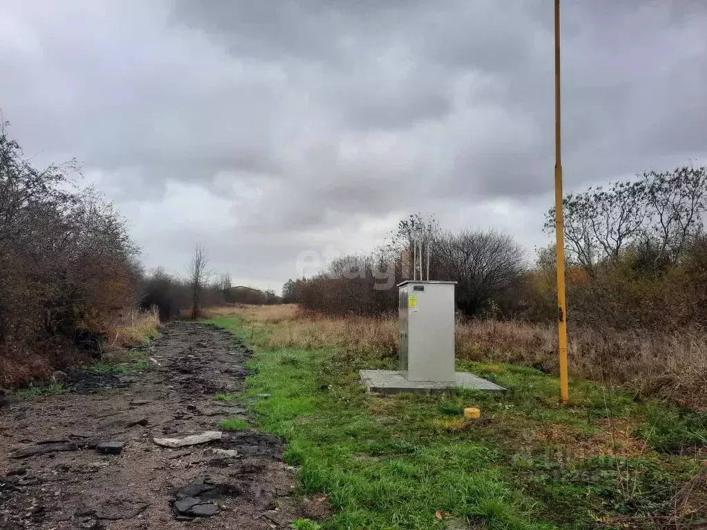 Участок в Калининградская область, Гурьевский муниципальный округ, ... - Фото 1