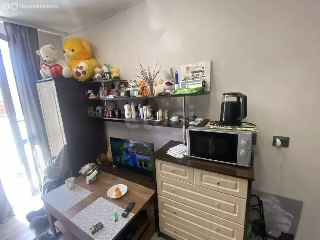 Квартира-студия: Новосибирск, улица Забалуева, 90 (22.7 м) - Фото 1