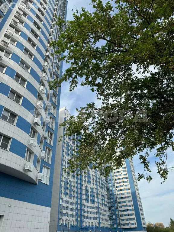 Квартира-студия: Ростов-на-Дону, Береговая улица, 73с2 (25 м) - Фото 1