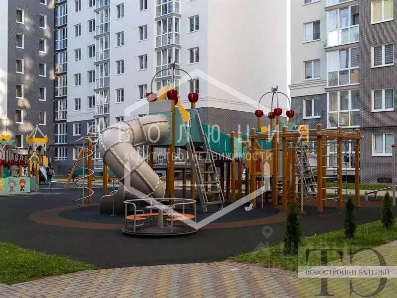 3-к кв. Калининградская область, Калининград Суздальская ул. (77.63 м) - Фото 2