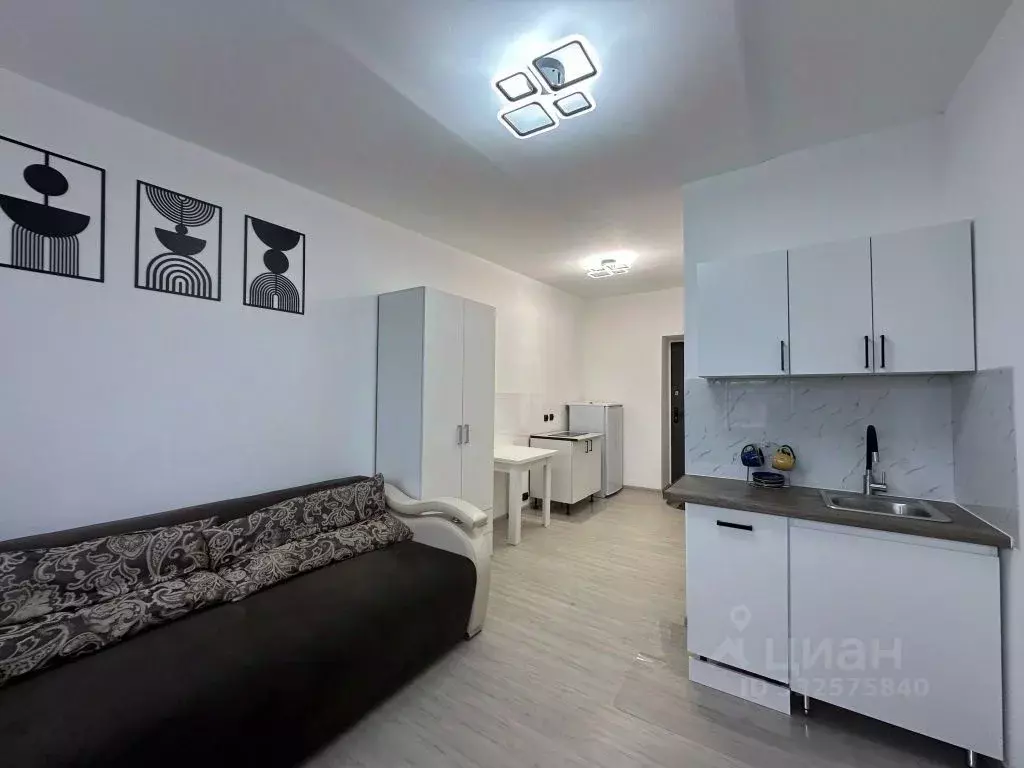 Студия Костромская область, Кострома Центральная ул., 48 (18.5 м) - Фото 2