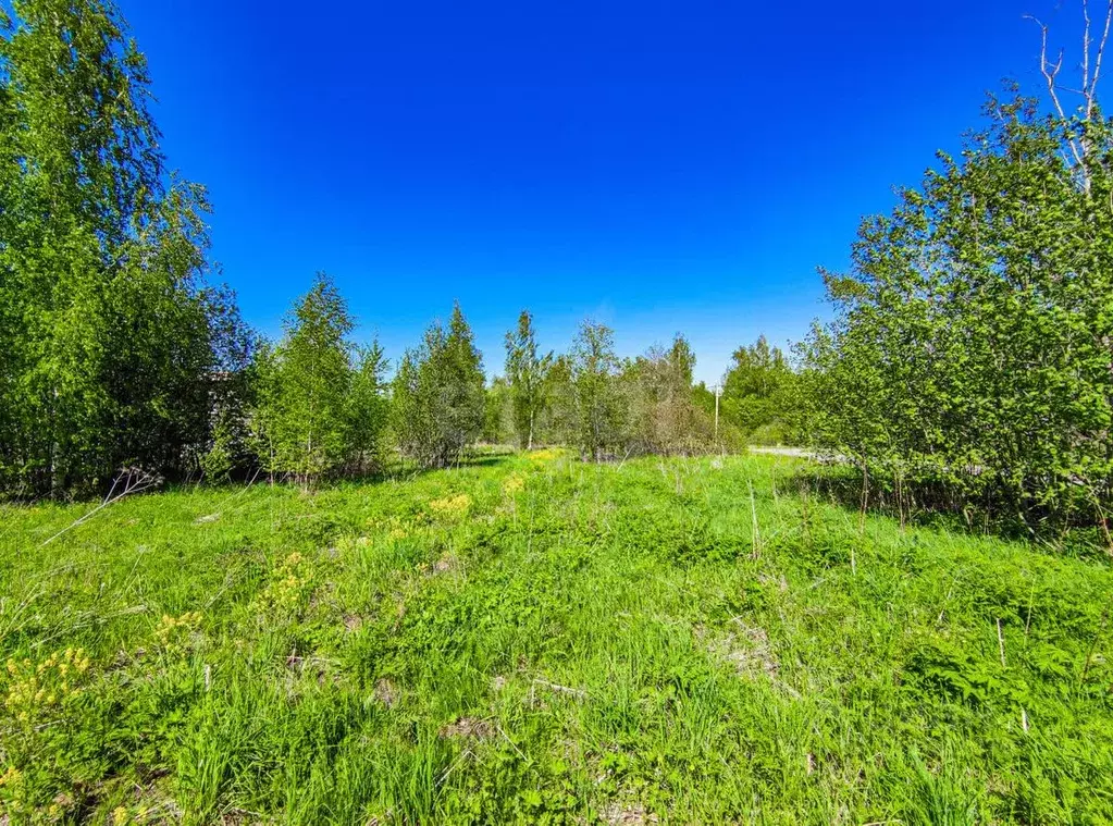 Участок в Вологодская область, Череповец бул. Волгоградский (10.37 ... - Фото 1