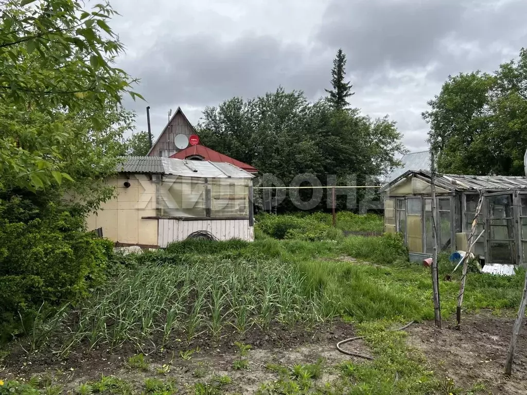 Дом в Новосибирская область, Коченевский район, Чик рп ул. Линейная ... - Фото 2