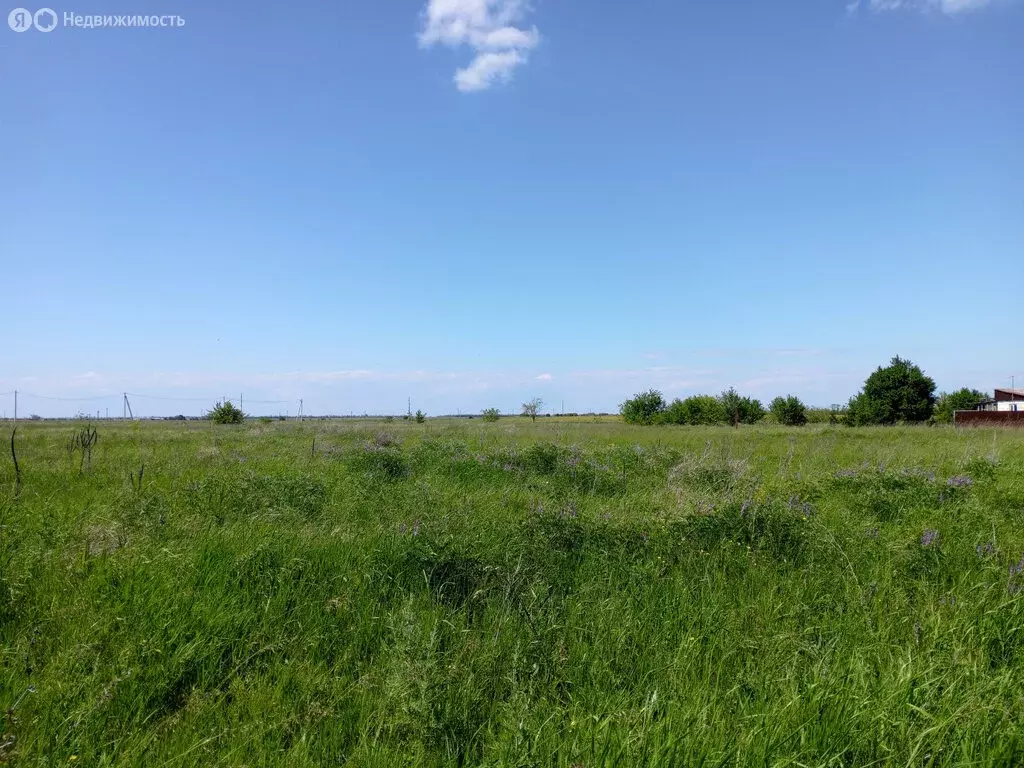 Участок в село Кухаривка, улица Свободы (15 м) - Фото 0
