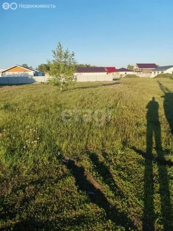 Участок в Сосновский район, Краснопольское сельское поселение, деревня ... - Фото 1