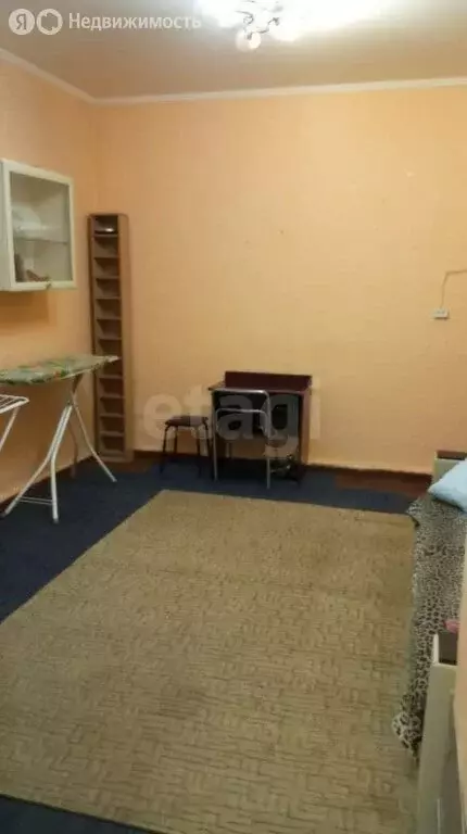 1-комнатная квартира: Ростов-на-Дону, Большая Садовая улица, 110 (24 ... - Фото 0