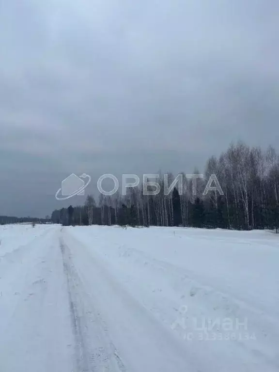 Участок в Тюменская область, Тюменский район, д. Марай  (9.9 сот.) - Фото 1