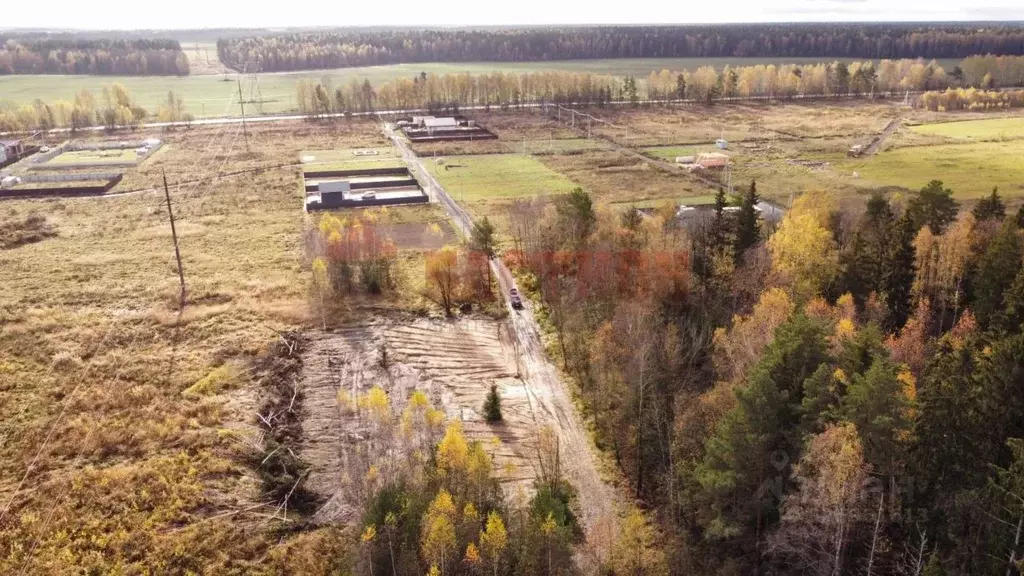 Участок в Московская область, Богородский городской округ, д. Черново ... - Фото 1