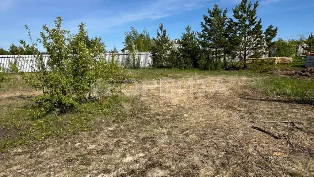 Участок в Тюменская область, Тюмень Звенящие Кедры Тюмени ДНП,  (8.15 ... - Фото 2