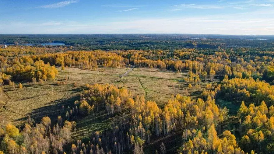 Участок в Ленинградская область, Всеволожский район, Куйвозовское ... - Фото 1