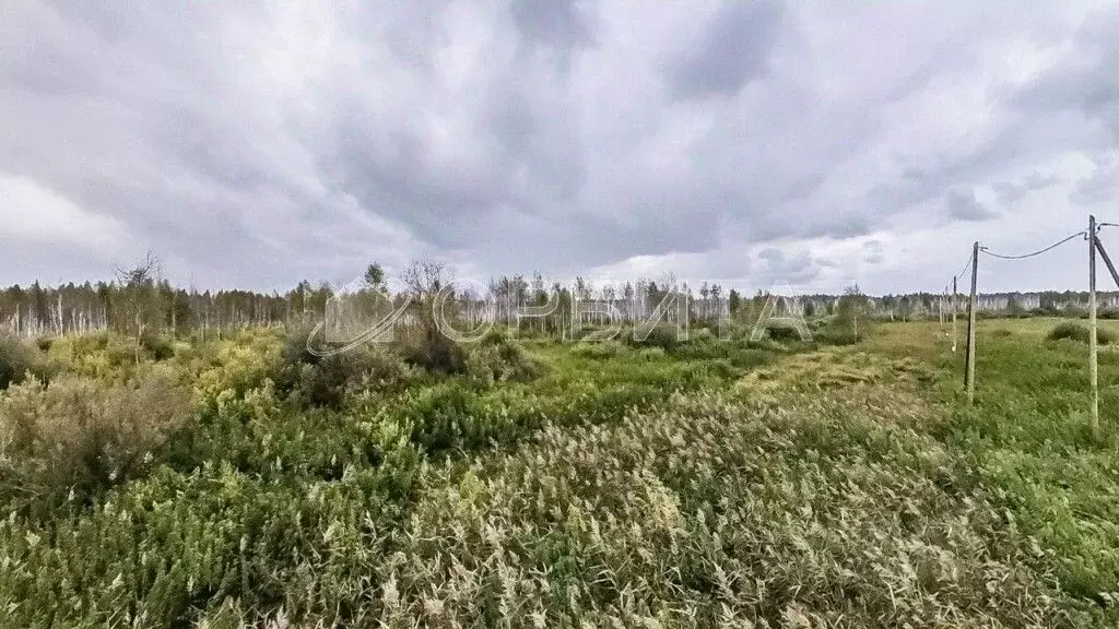 Участок в Тюменская область, Нижнетавдинский муниципальный округ, ... - Фото 2