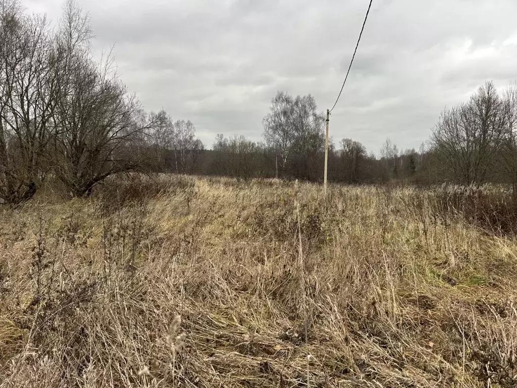 Участок в Владимирская область, Александровский муниципальный округ, ... - Фото 1
