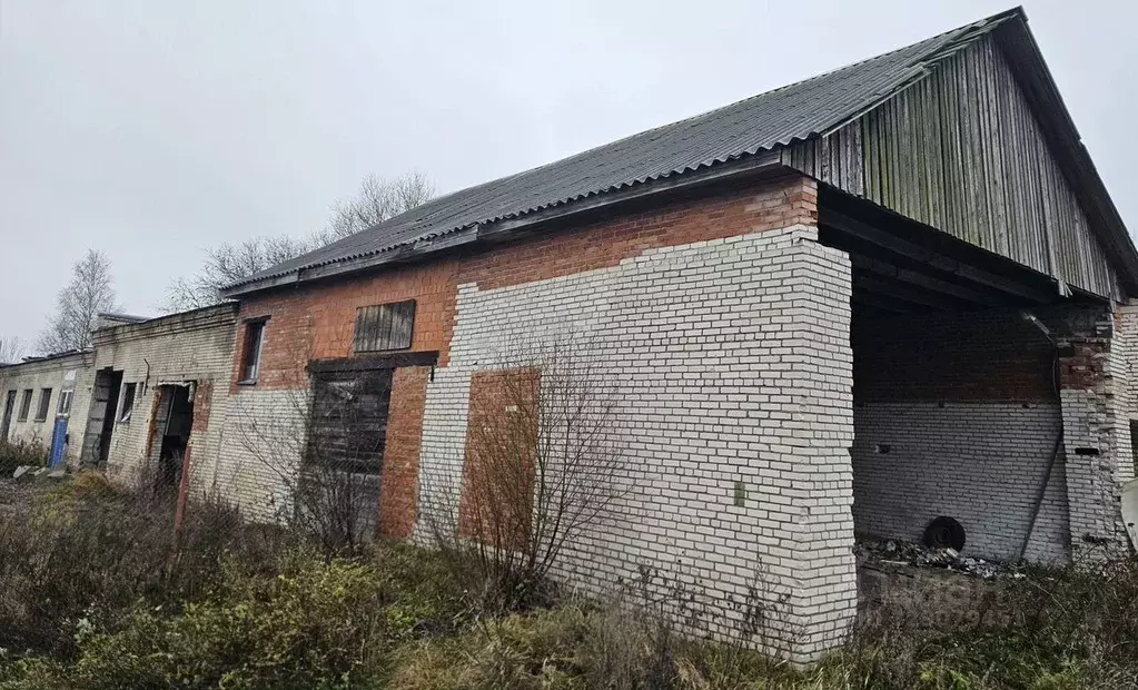 Производственное помещение в Ленинградская область, Приозерский район, ... - Фото 1