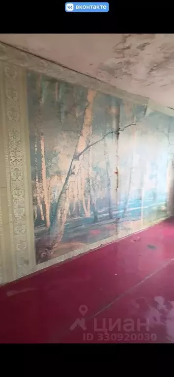 Комната Нижегородская область, Володарский муниципальный округ, ... - Фото 2