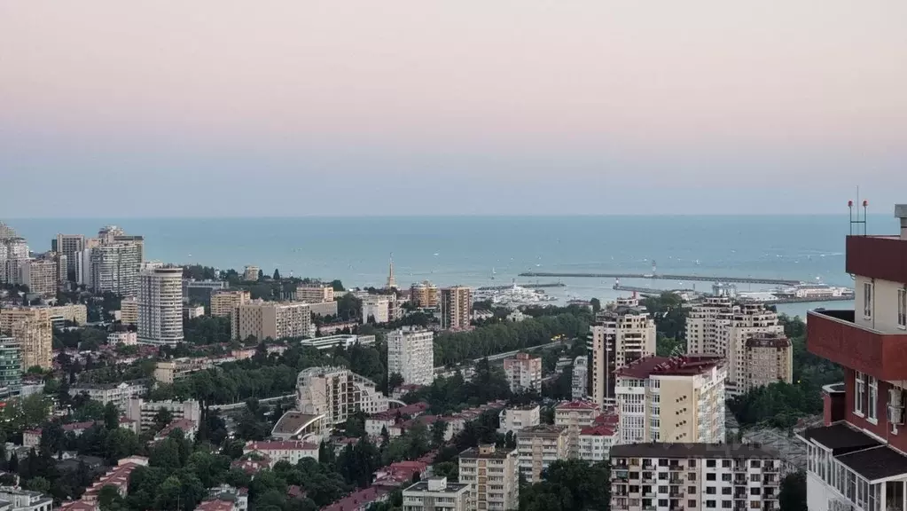 Студия Краснодарский край, Сочи Виноградная ул., 22/1А (31.6 м) - Фото 1