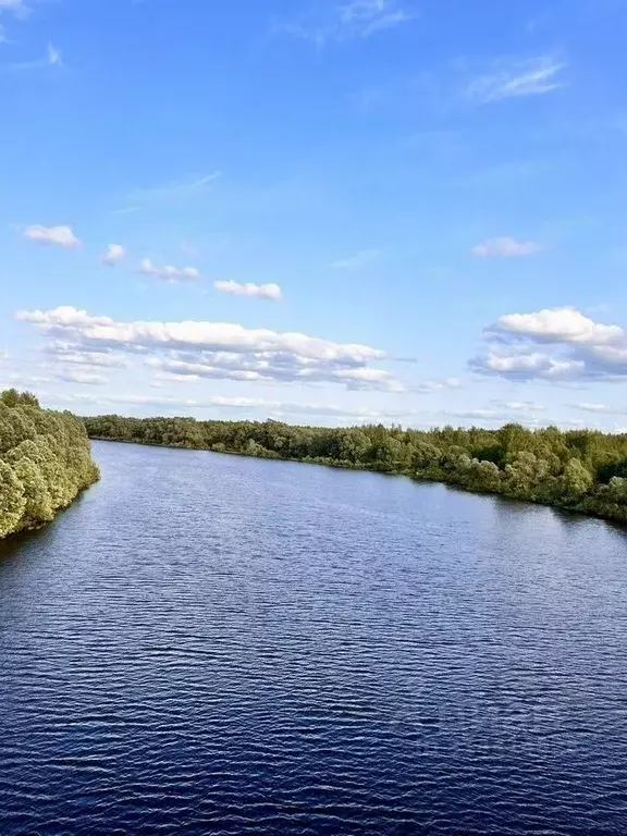 Дом в Новгородская область, Парфинский район, Федорковское с/пос, д. ... - Фото 0