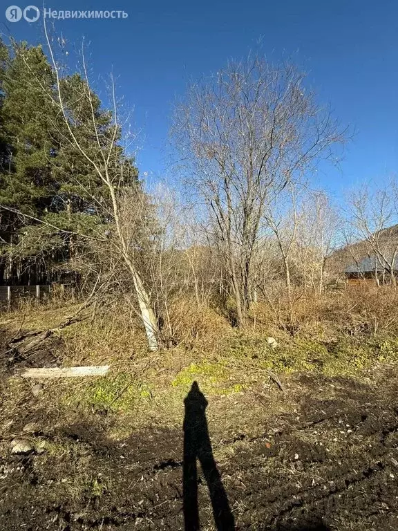 Участок в Майминский район, Р-256 Чуйский тракт, 488-й километр (10 м) - Фото 1