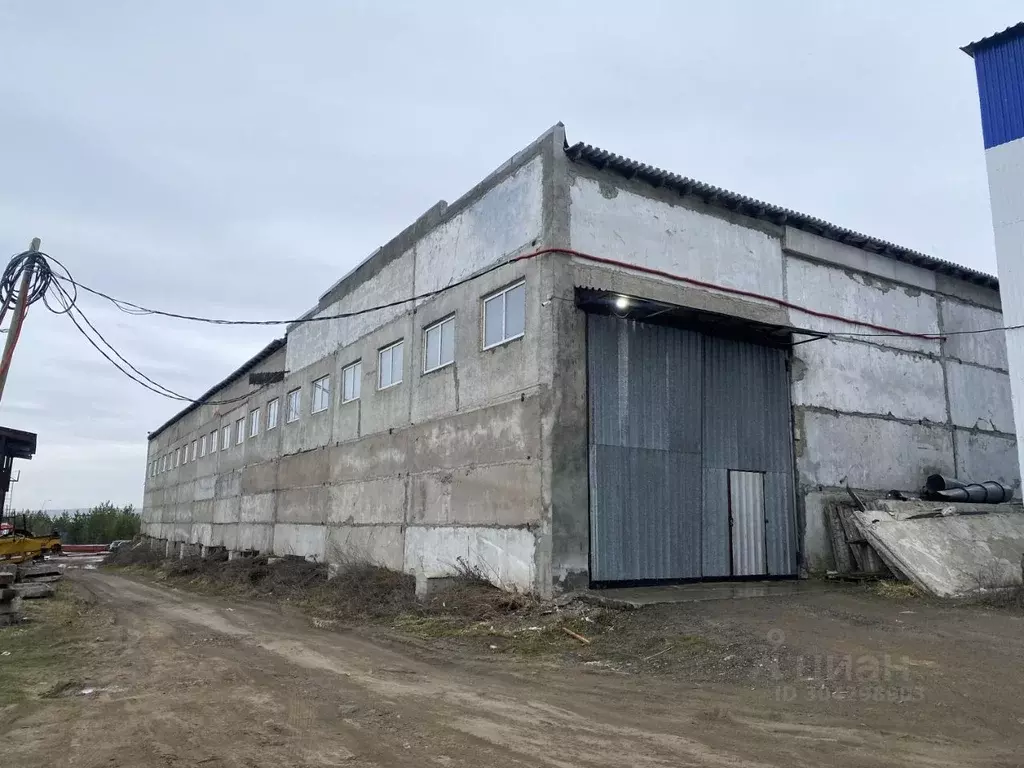 Производственное помещение в Свердловская область, Сысертский ... - Фото 0