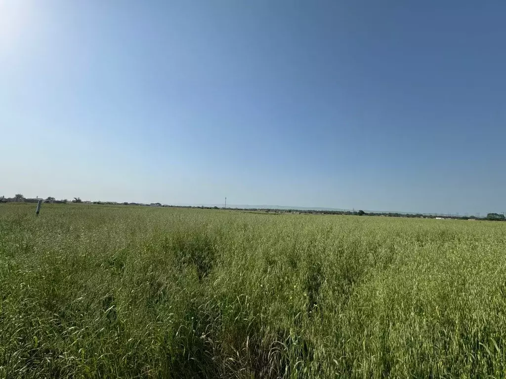 Участок в Чеченская республика, Грозный 4-й сектор, 55-й кв-л, 18 (6.0 ... - Фото 1
