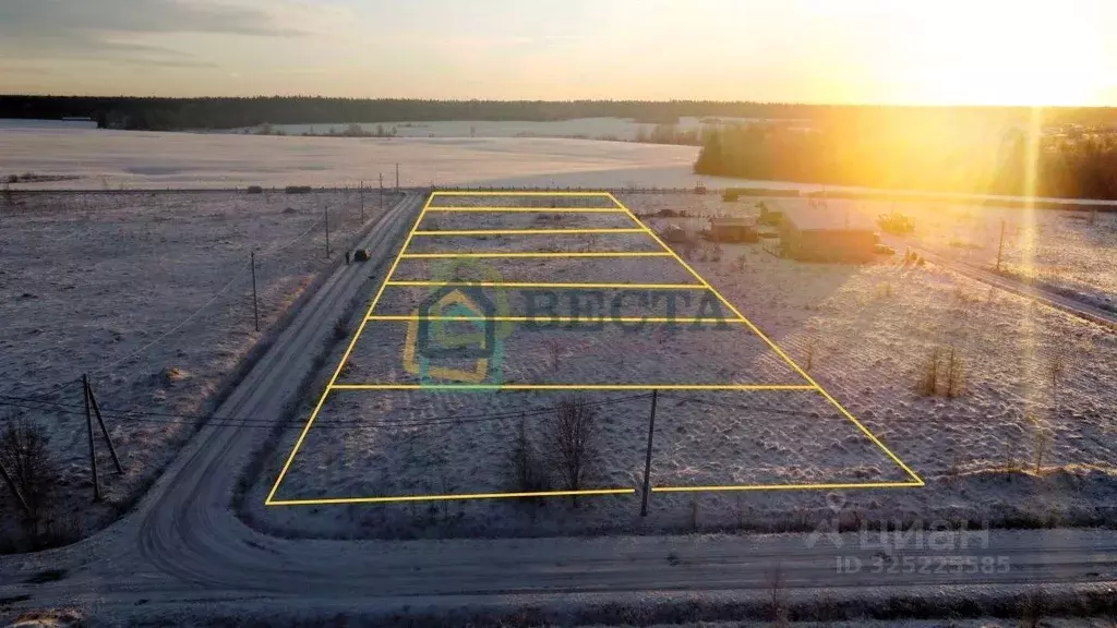 Участок в Ленинградская область, Ломоносовский район, Лопухинское ... - Фото 1