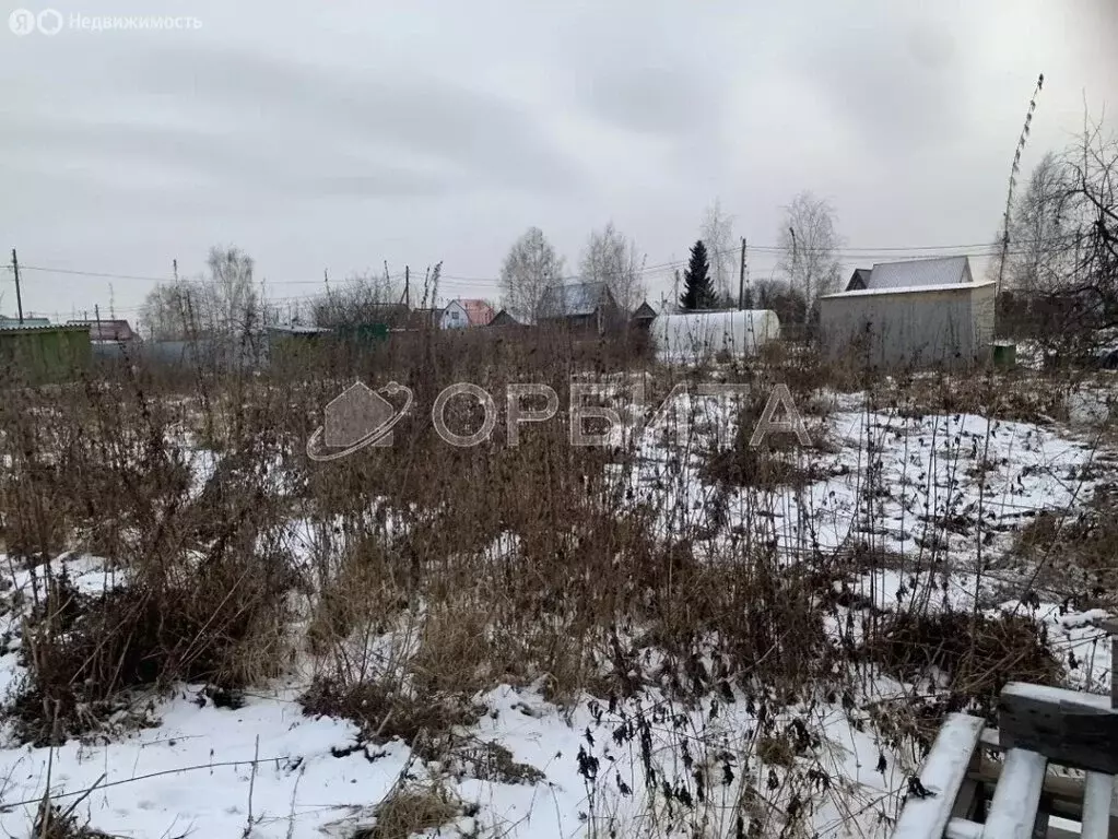 Участок в Тюмень, СНТ Факел, 7-я линия (11 м) - Фото 2